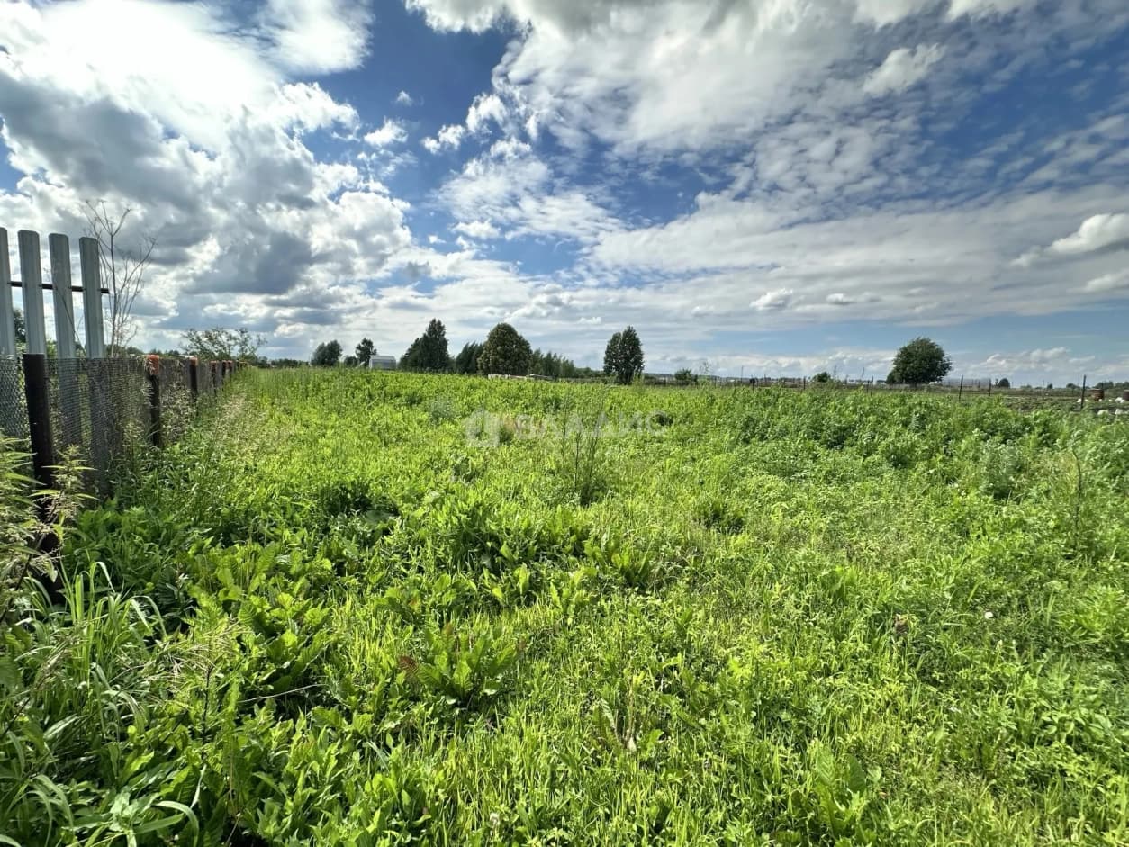 Photo 39