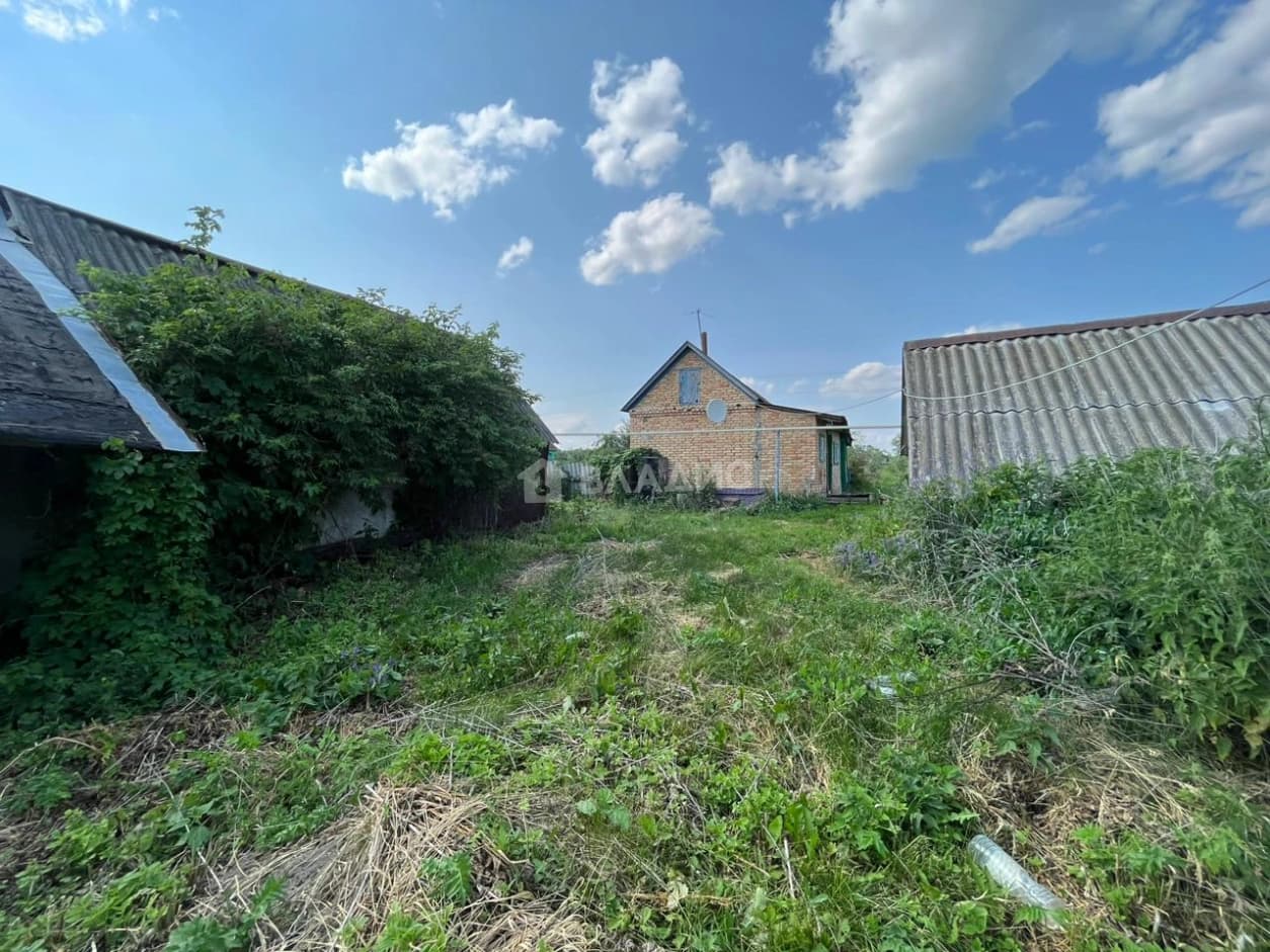 Photo 16