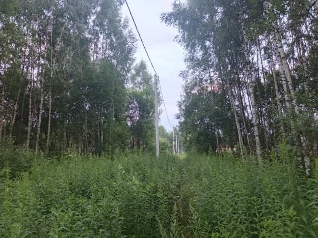 Купить земельный участок в Владимирской области. Вариант № 2257157, 1, площадь - квм, цена 700000 рублей