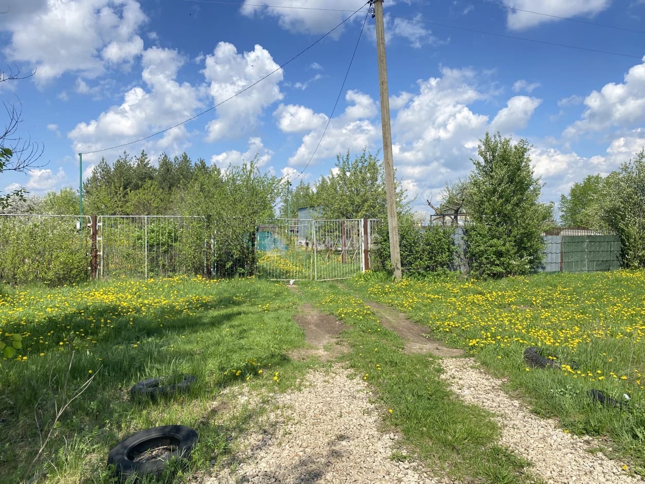 Photo 6