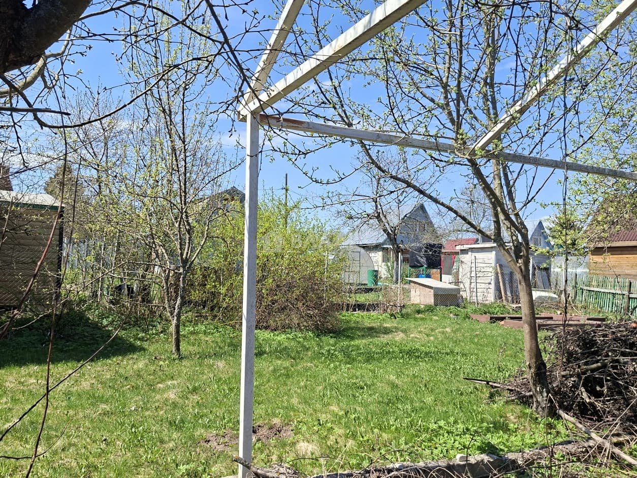 Photo 19