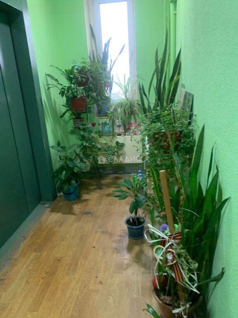 Photo 24
