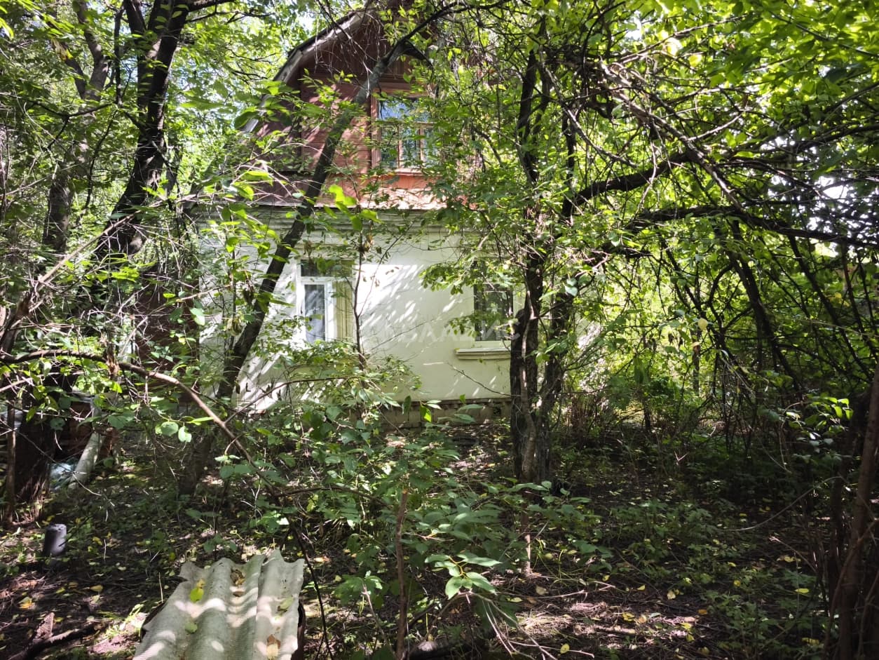 Photo 6