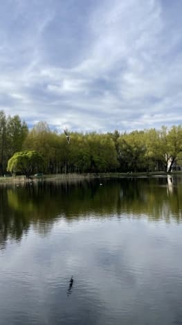 Купить квартиру в ЖК Малая Охта в Санкт-Петербурге. Вариант № 2177526, 1, площадь - квм, цена 19500000 рублей