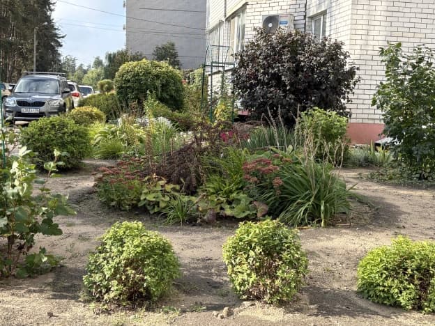 Купить квартиру площадью 40 кв.м в Воронеже. Вариант № 2369647, 0, площадь - квм, цена 5300000 рублей