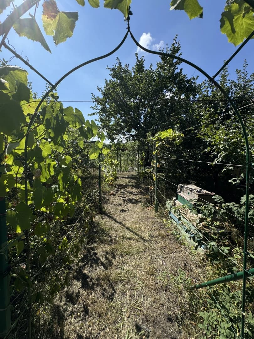 Photo 32