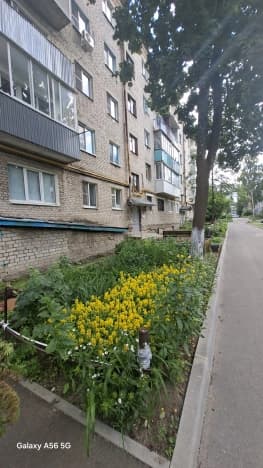 Купить однокомнатную квартиру до 1 млн в Гусь-Хрустальном. Вариант № 2239013, 1, площадь - квм, цена 1700000 рублей