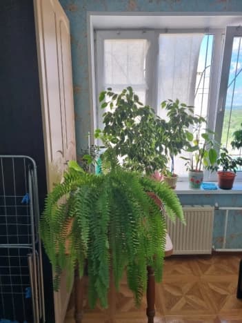 Купить трехкомнатную квартиру площадью 100 кв.м в Республике Башкортостан. Вариант № 2173022, 1, площадь - квм, цена 8750000 рублей