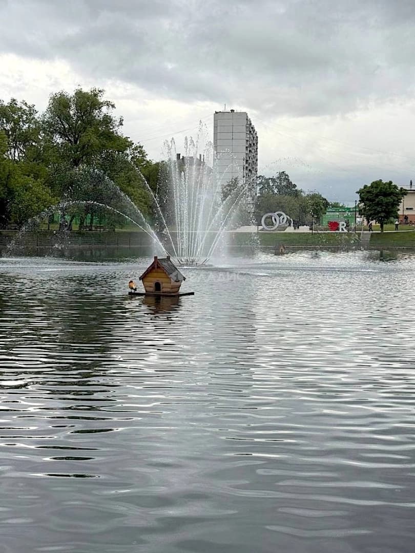 Photo 25