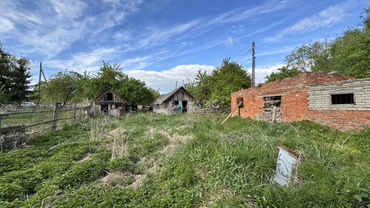 Photo 24