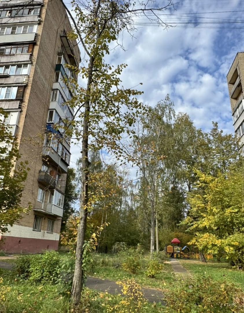 Photo 25
