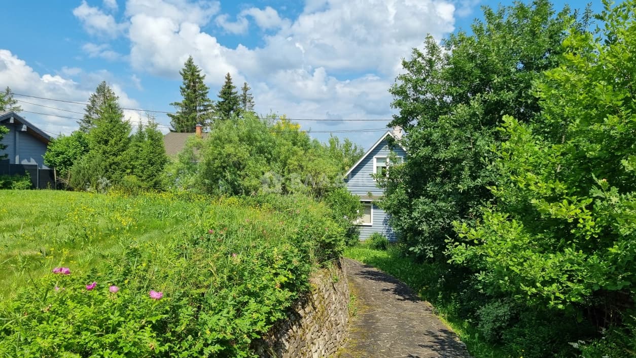 Photo 44