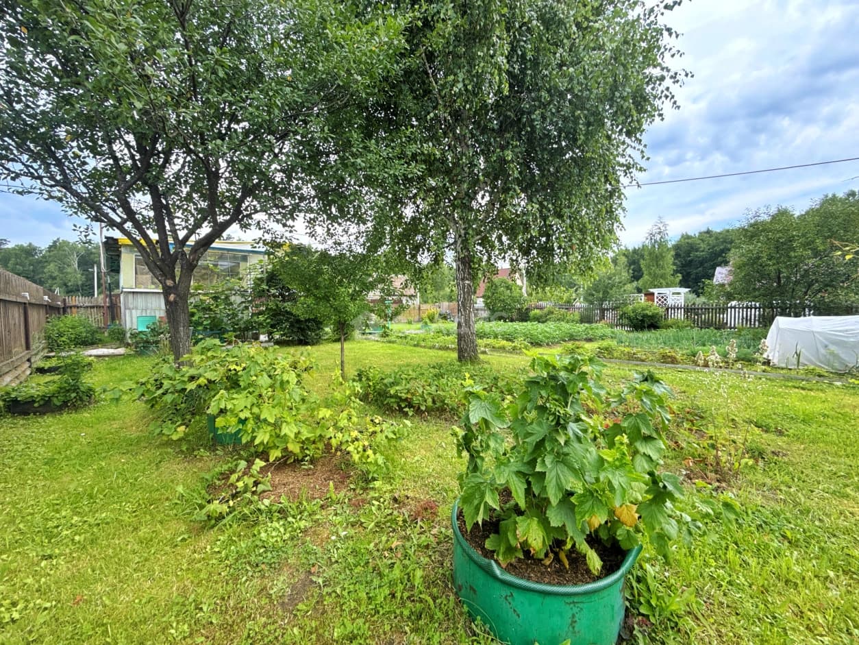 Photo 29