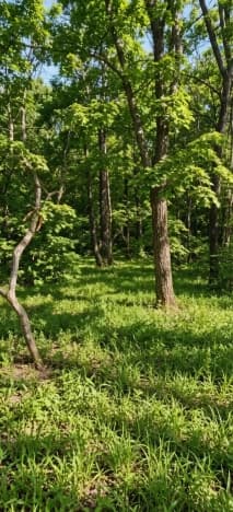 Купить земельный участок в Благовещенске. Вариант № 2246493, 1, площадь - квм, цена 900000 рублей