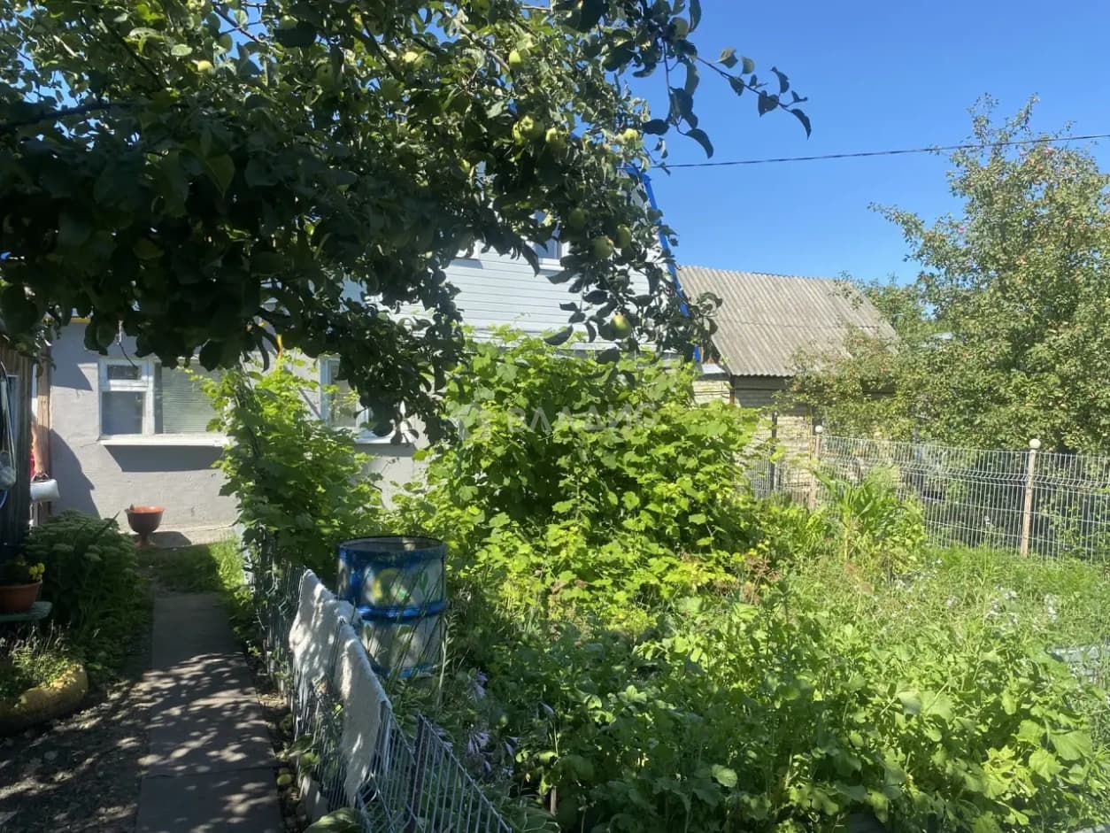 Photo 16