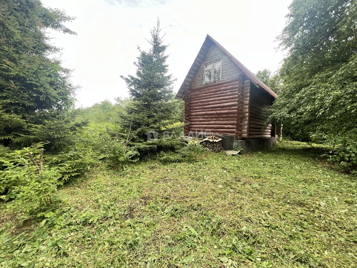 Photo 23