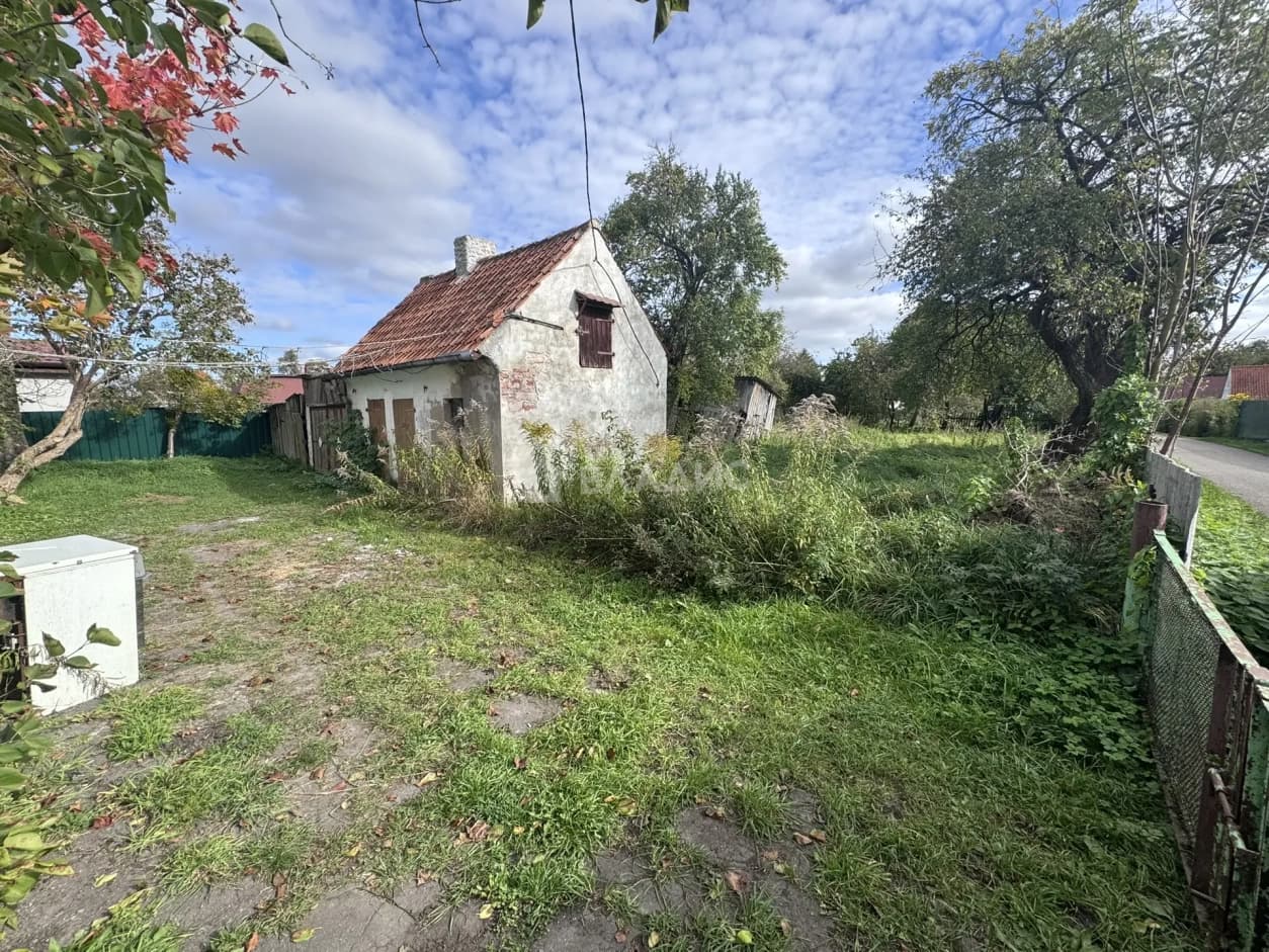 Photo 24