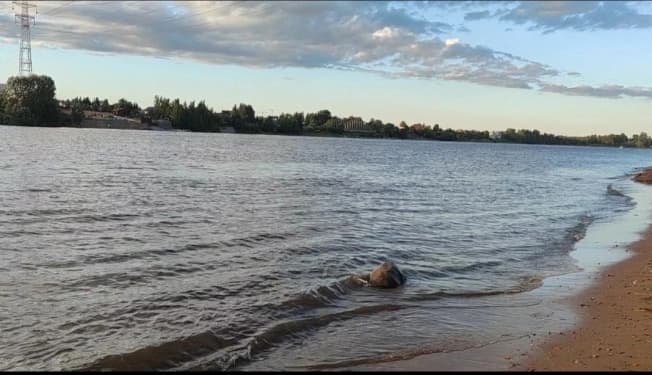 Купить двухкомнатную квартиру на вторичке у метро Обводный Канал в Санкт-Петербурге. Вариант № 2260491, 0, площадь - квм, цена 11999000 рублей