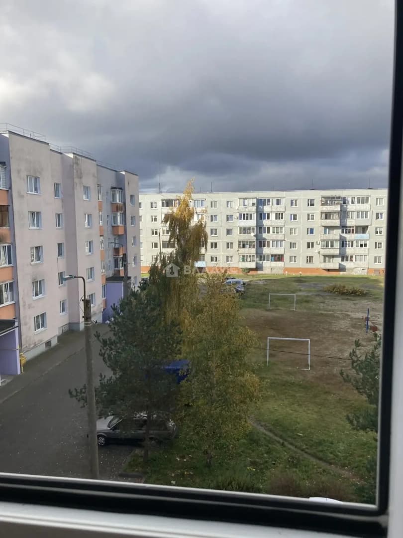 Photo 44
