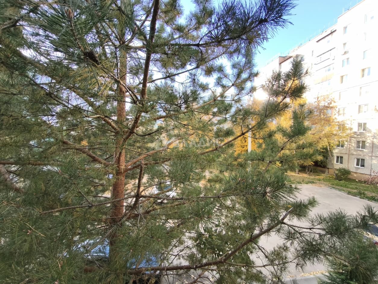 Photo 29