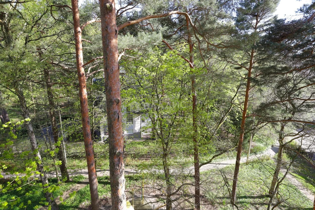 Photo 48