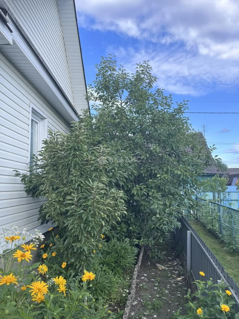 Photo 31