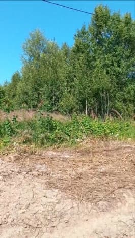Купить земельный участок в Тобольском Муниципальном Округе в Тюменской области. Вариант № 1228495, 1, площадь - квм, цена 2000000 рублей