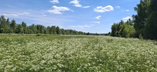 Купить земельный участок в Деревне Какузеве в Раменском Муниципальном Округе в Московской области. Вариант № 2206221, 1, площадь - квм, цена 26000000 рублей
