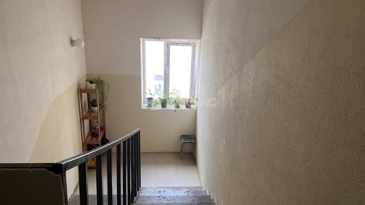 Photo 29