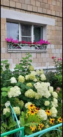 Купить однокомнатную квартиру на вторичке в Собинском районе в Владимирской области. Вариант № 2391415, 0, площадь - квм, цена 3050000 рублей