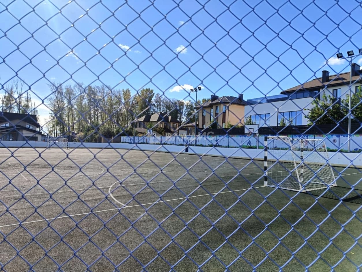 Photo 6