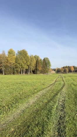 Купить земельный участок в Посёлоке Дубровском в Вологодском Муниципальном Округе в Вологодской области. Вариант № 2359051, 0, площадь - квм, цена 35000000 рублей