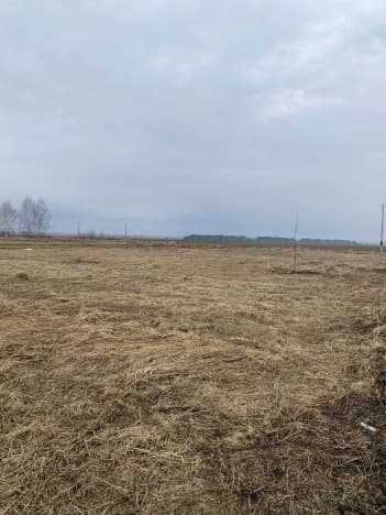 Купить земельный участок в Муниципальном Округе Сокольском в Нижегородской области. Вариант № 2166450, 1, площадь - квм, цена 2000000 рублей
