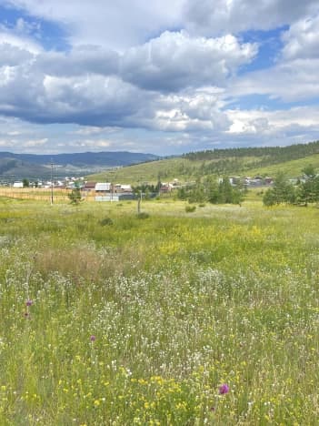Купить земельный участок в селе Макаринино (башарово) в Баргузинском районе в Республике Бурятия. Вариант № 2255398, 1, площадь - квм, цена 250000 рублей