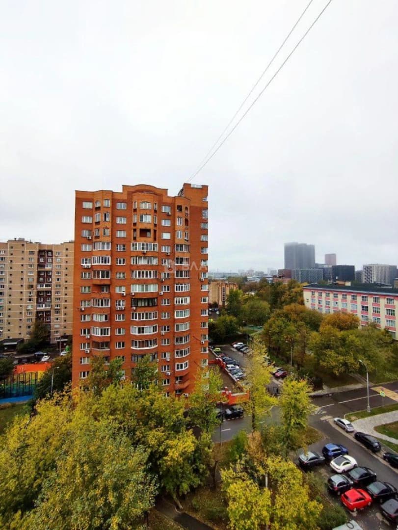 Photo 24