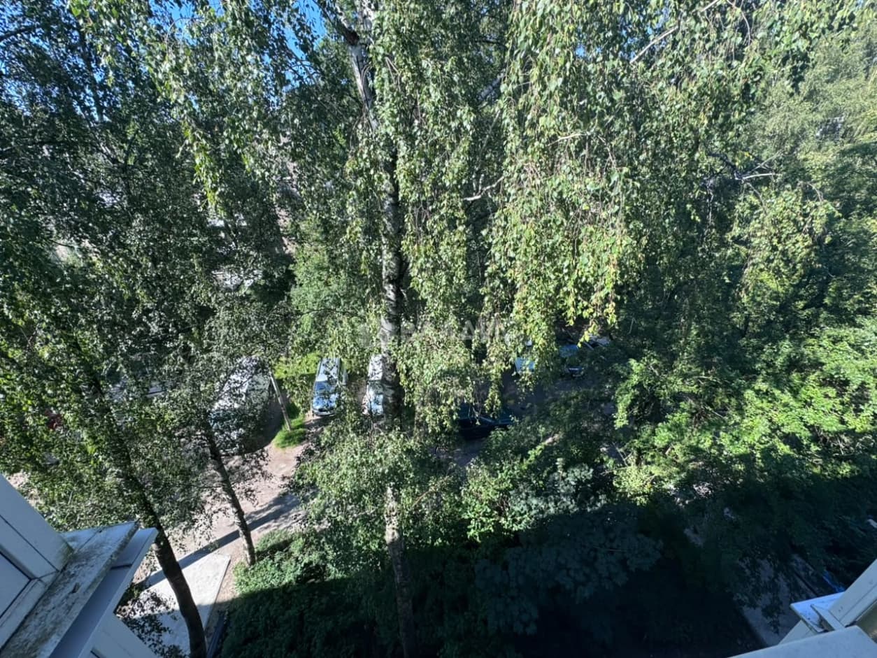Photo 17