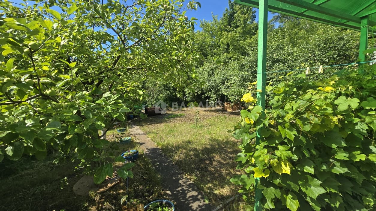 Photo 29