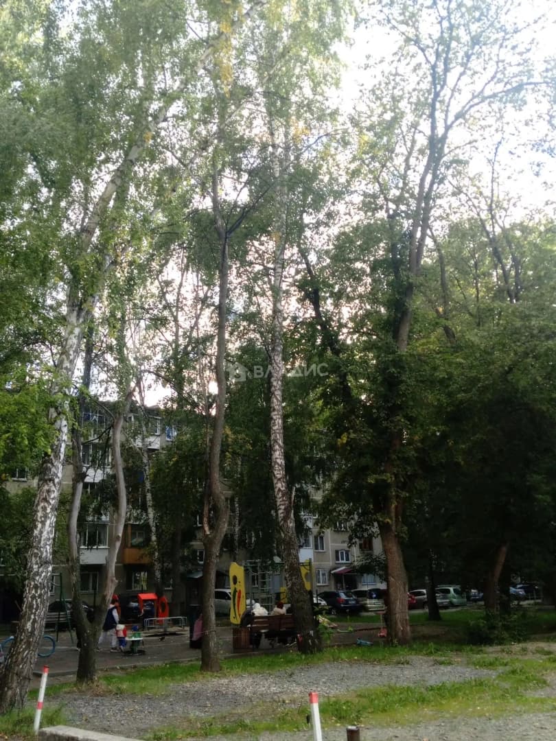 Photo 25