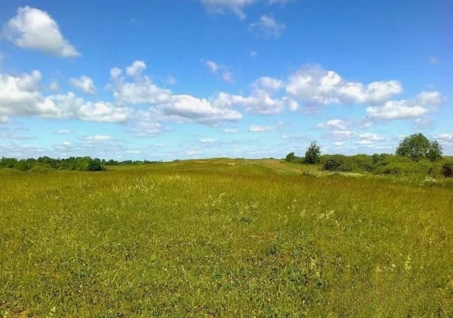 Купить земельный участок в Приозерском районе в Ленинградской области. Вариант № 2257561, 1, площадь - квм, цена 2300000 рублей