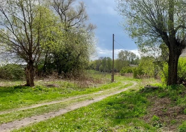 Купить земельный участок в Деревне Филиппуши в Суздальском районе в Владимирской области. Вариант № 2101273, 0, площадь - квм, цена 500000 рублей