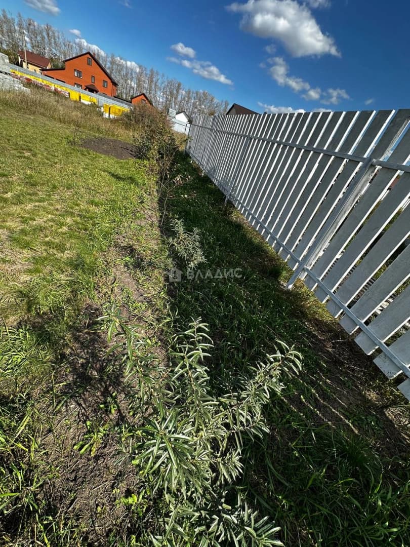 Photo 44