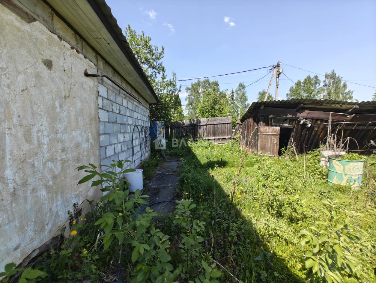 Photo 7