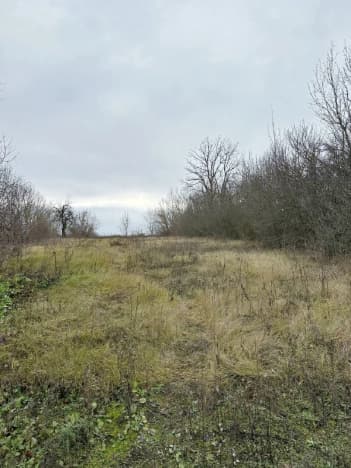 Купить дом в Посёлоке Дубовом в Белгородском Муниципальном Округе в Белгородской области. Вариант № 1961940, 0, площадь - квм, цена 2650000 рублей