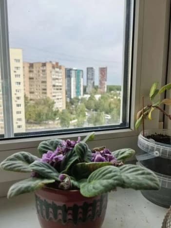 Купить квартиру с ремонтом на улице Павелецкая набережная в Москве. Вариант № 2357339, 0, площадь - квм, цена 24000000 рублей