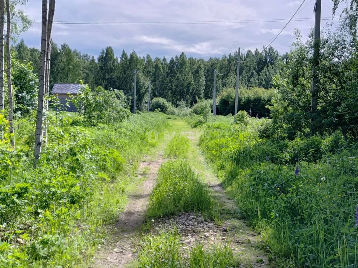 Photo 13