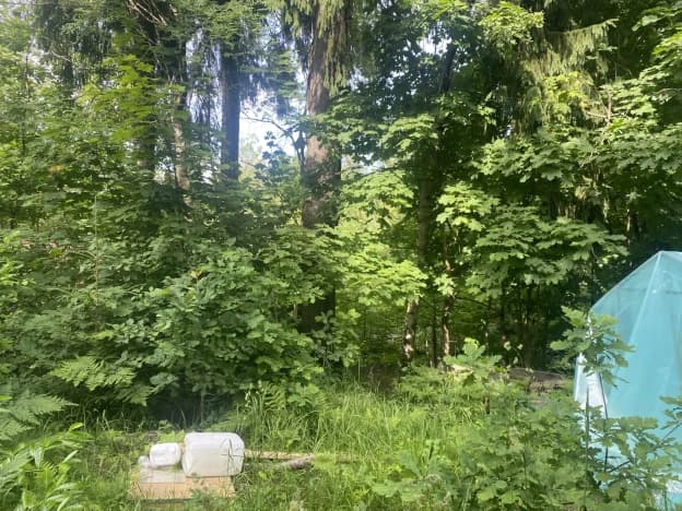 Купить земельный участок в Посёлоке Беличье в Приозерском районе в Ленинградской области. Вариант № 2226018, 1, площадь - квм, цена 8000000 рублей