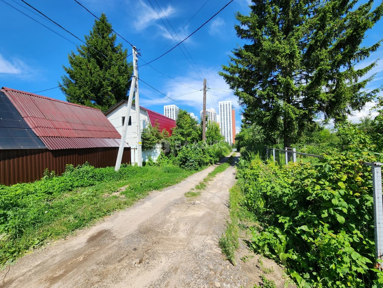Photo 45