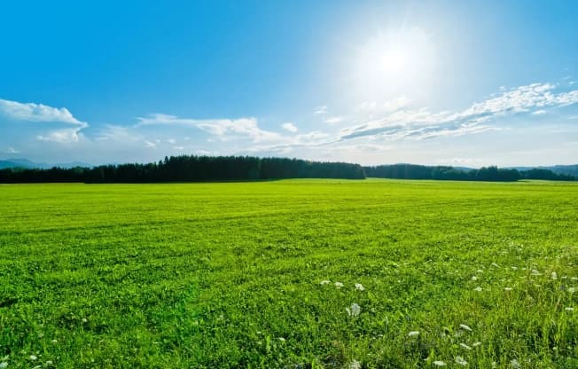 Купить земельный участок в селе Воскресенская слободка в Суздальском районе на улице Владимирская , село Воскресенская Слободка в Владимирской области. Вариант № 2300021, 0, площадь - квм, цена 950000 рублей