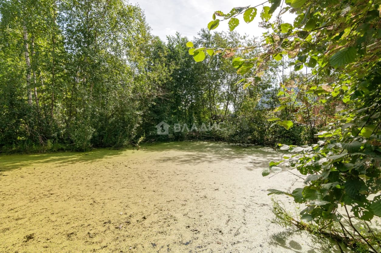 Photo 36