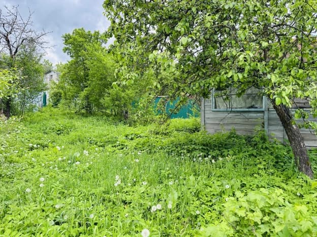 Купить земельный участок в Муниципальном Округе Сокольском в Нижегородской области. Вариант № 2199797, 1, площадь - квм, цена 800000 рублей